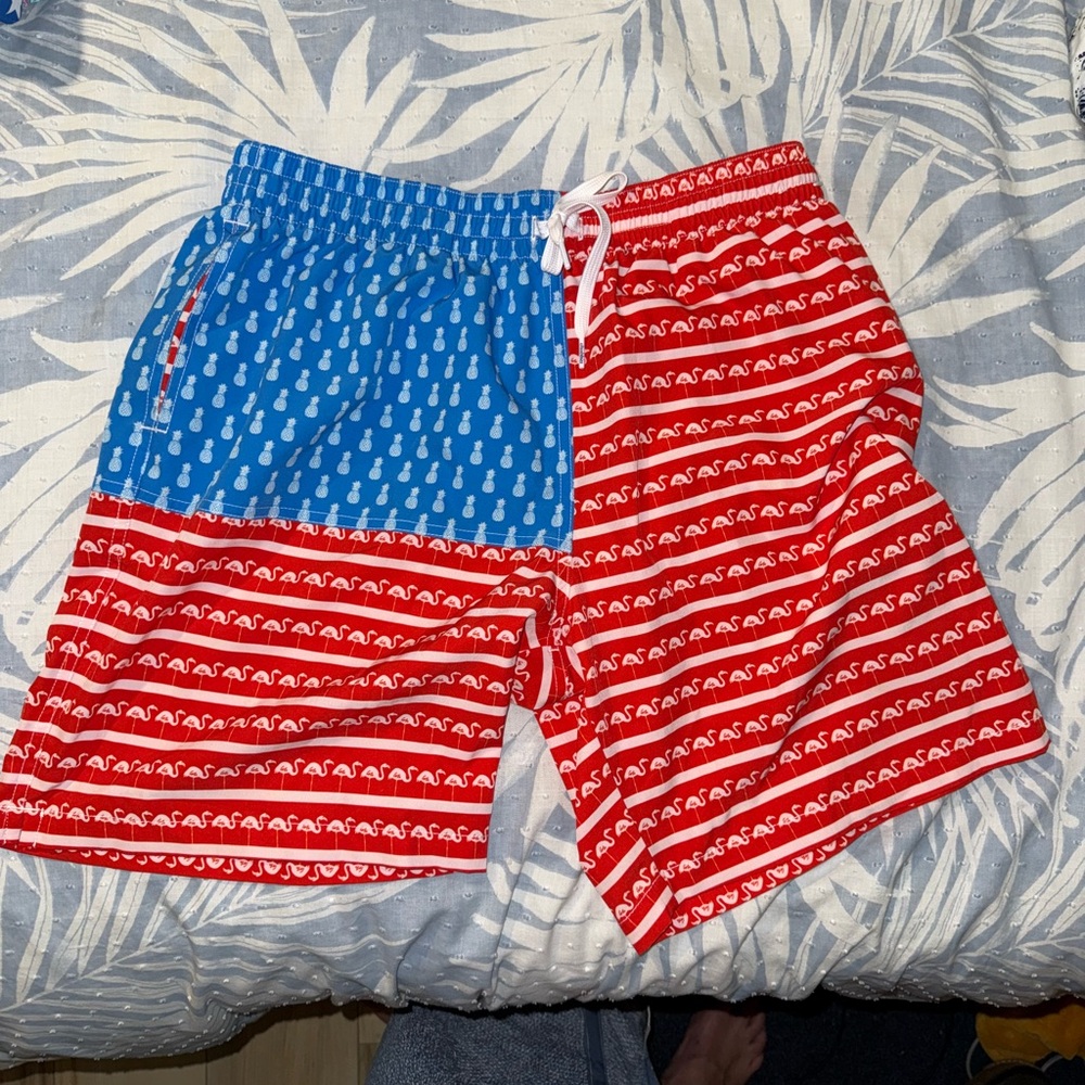 Chubbies Swim Trunks America Theme mesh liner 7” inseam size large